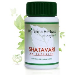 SHATAVARI KAPSLID N60 UNIFARMA