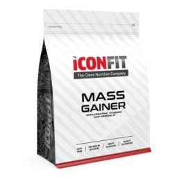 ICONFIT MASS Gainer (1.5KG)