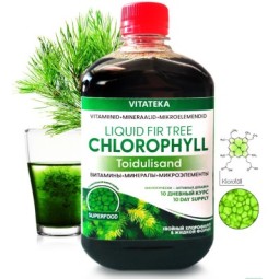 Хлорофилл 500 мл - Vitateka